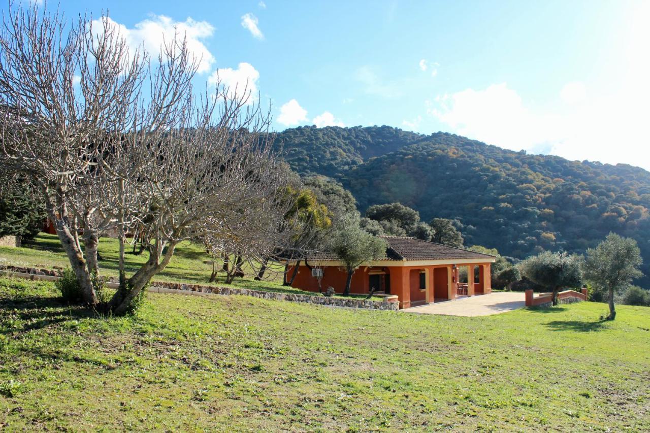 Apartamentos Cedro Alto Benaoján Exterior foto